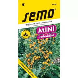 Rajče keříčkové Tumbling Tom Yellow Rajče keříčkové Tumbling Tom Yellow