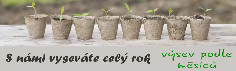 Výsev semen podle měsíce v roce Výsev semen podle měsíce v roce